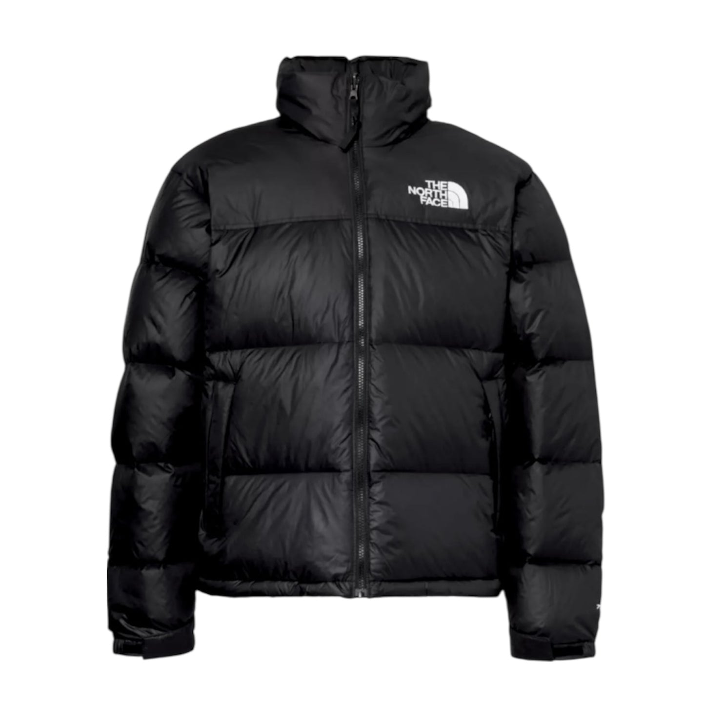 NORTH FACE NUPTSE 700 COAT